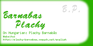 barnabas plachy business card