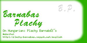 barnabas plachy business card